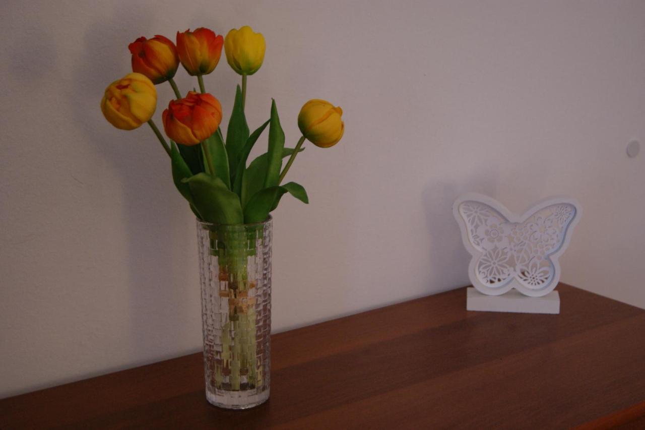 Apartment Lynx Korenica Kültér fotó